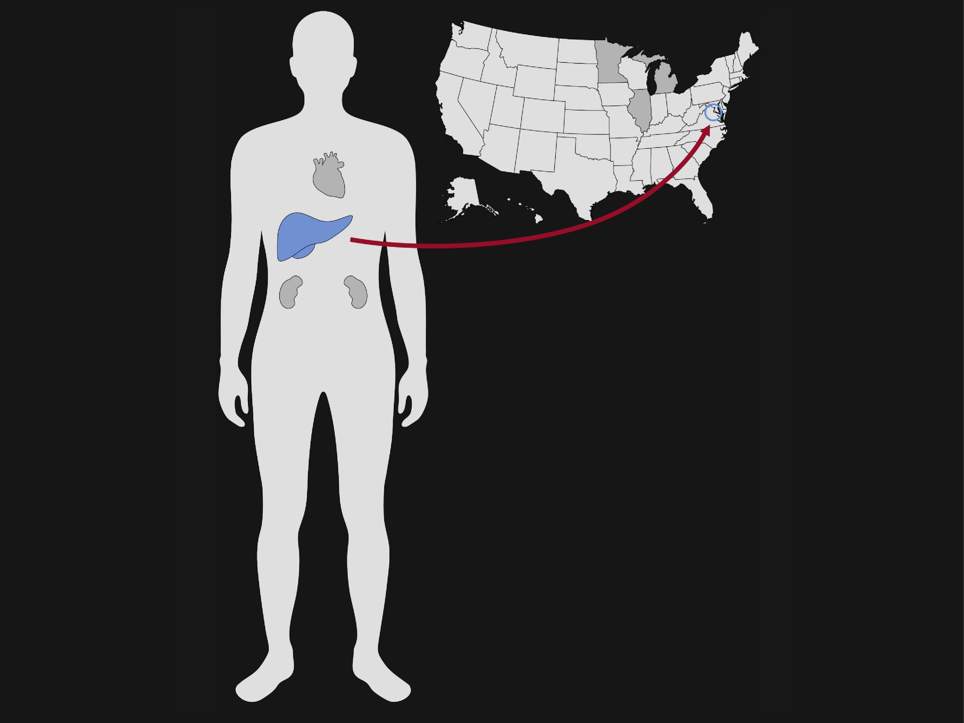 Discarded: Why donated organs are left unused